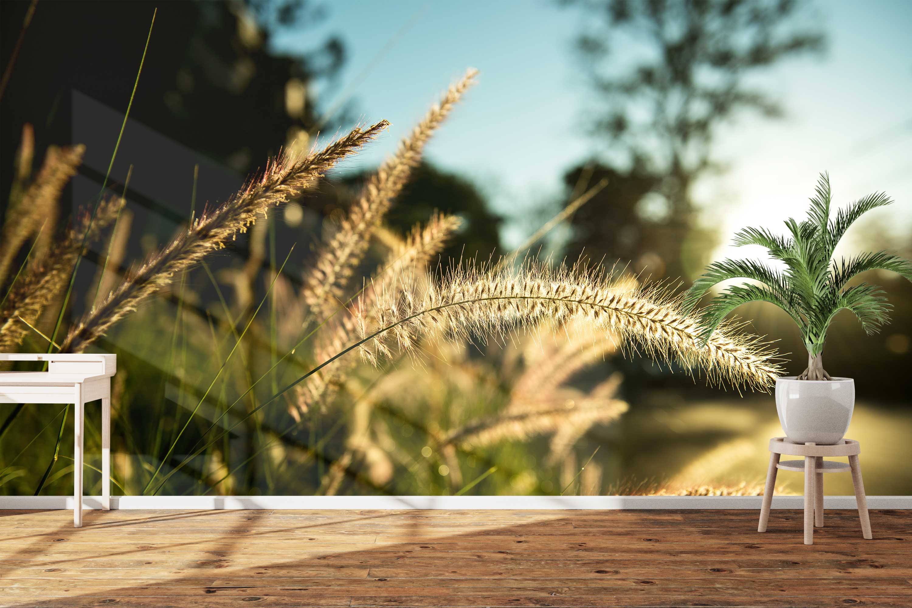 Naadloos fotobehang gras met zonlicht buitengebied