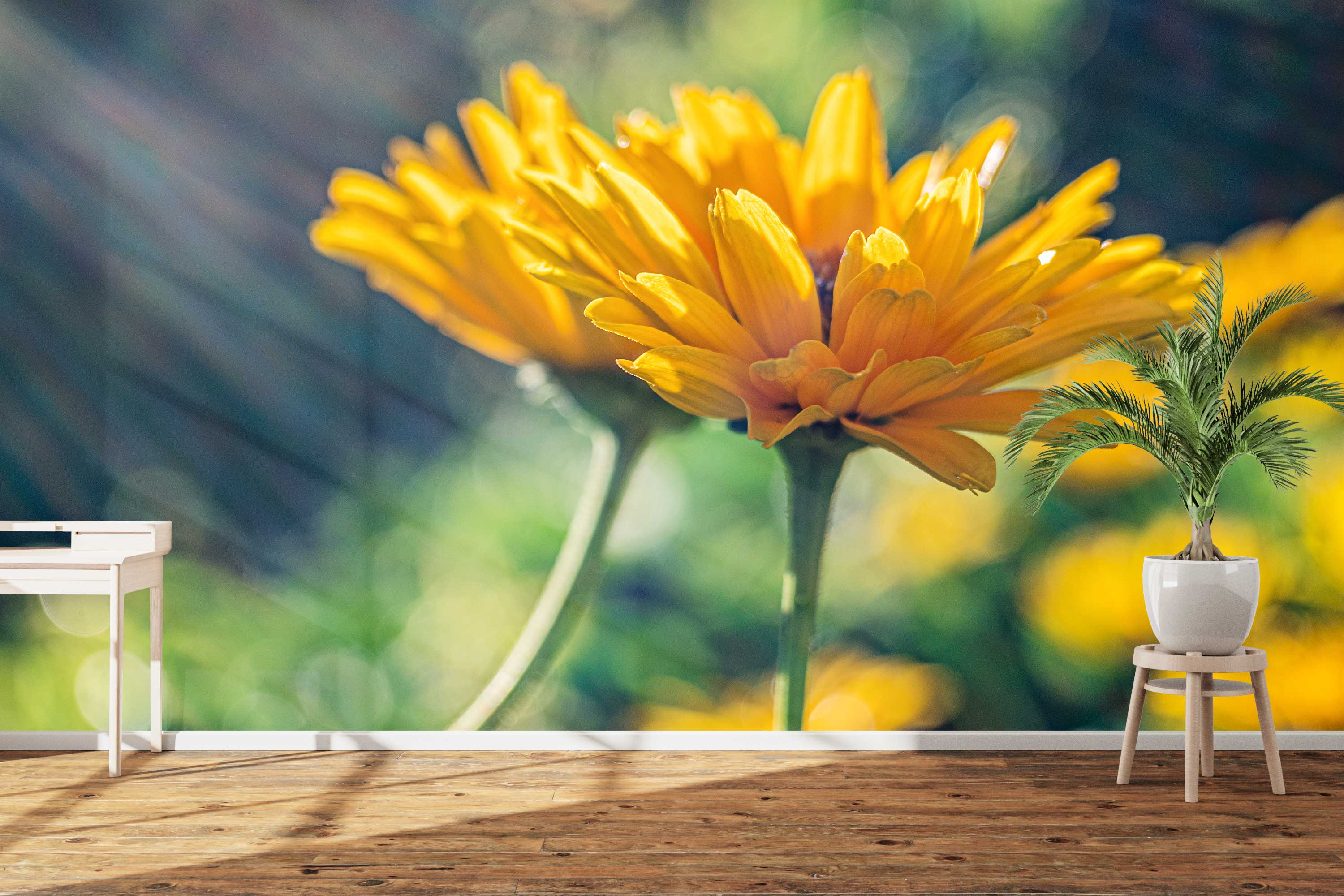 Naadloos fotobehang Two Marigold Flowers